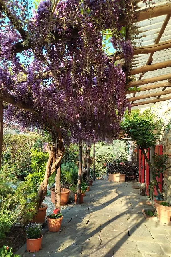 La Corte Del Falco Pieve a Nievole Italy